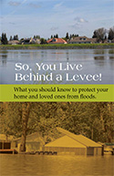 Levee