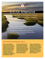 jdcP Brochure