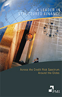 PMI Brochure
